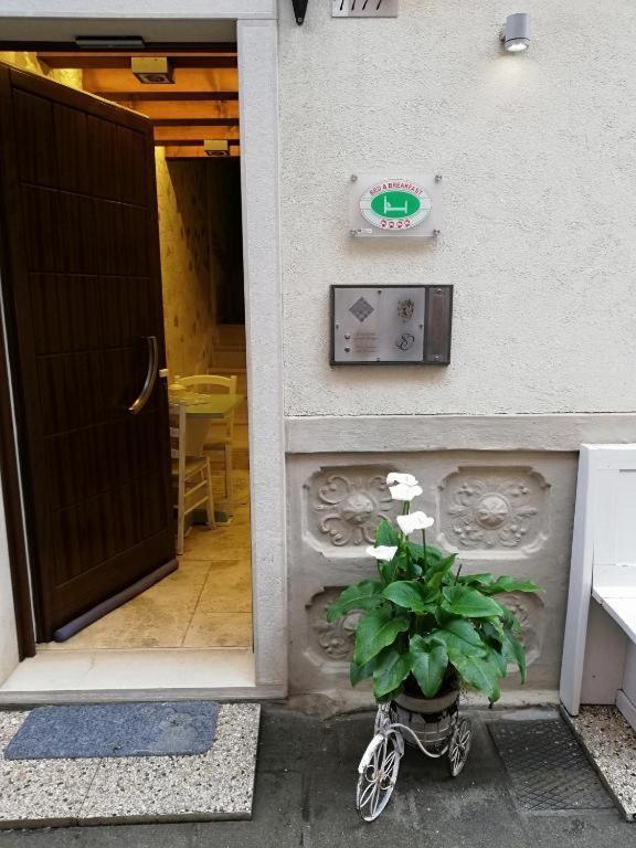 B & B San Domenico Chioggia Exterior photo